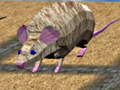 Тоглоом Mouse Race Islands