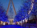 Тоглоом London Eye Jigsaw