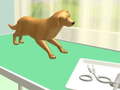 Тоглоом Paw Care