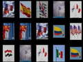 Тоглоом Memorize the flags
