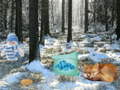 Тоглоом Winter Wonderland Forest Adventure
