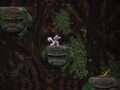 Тоглоом Cave Descent