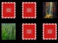 Тоглоом Forest memory