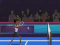 Тоглоом Badminton Brawl