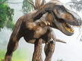 Тоглоом Tyrannosaurus Rex Carnivore Jigsaw