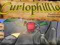 Тоглоом Сuriophillia