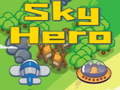 Тоглоом Sky Hero