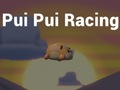 Тоглоом Pui Pui Racing