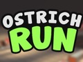 Тоглоом Ostrich Run