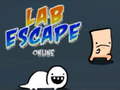 Тоглоом Lab Escape Online