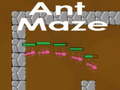 Тоглоом Ant maze