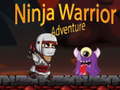 Тоглоом Ninja Warrior Adventure