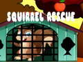 Тоглоом Squirrel Rescue