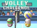 Тоглоом Volley Challenge