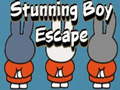 Тоглоом Stunning Boy Escape