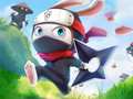 Тоглоом Ninja Rabbit