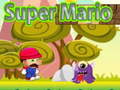 Тоглоом Super Mario 