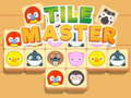 Тоглоом Tile Master Match