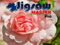 Тоглоом Jigsaw Master Pro