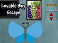 Тоглоом Lovable Boy Escape