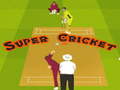 Тоглоом Super Cricket 