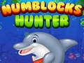 Тоглоом Numblocks Hunter
