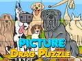 Тоглоом Picture Drag Puzzle