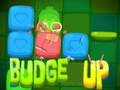Тоглоом Budge Up