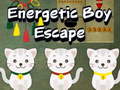 Тоглоом Energetic Boy Escape