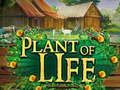 Тоглоом Plant of Life