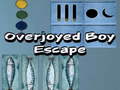 Тоглоом Overjoyed Boy Escape