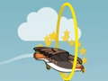 Тоглоом Flying bird