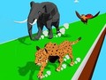 Тоглоом Animal Transform Race 3D