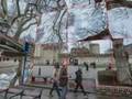Тоглоом Pano Puzzle