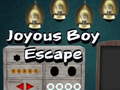 Тоглоом Joyous Boy Escape