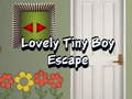 Тоглоом Lovely Tiny Boy Escape