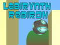 Тоглоом Labirynth Rebirdh