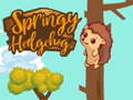 Тоглоом Springy Hedgehogck
