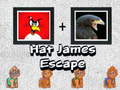 Тоглоом Hat James Escape