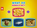 Тоглоом What Do Animals Eat?