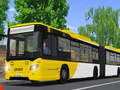 Тоглоом Public Transport Simulator 2021