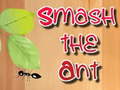 Тоглоом Smash the Ant