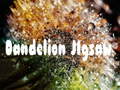 Тоглоом Dandelion Jigsaw