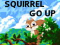 Тоглоом Squirrel Go Up
