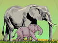 Тоглоом Wild Animals and Their Babies