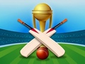 Тоглоом Cricket Champions Cup