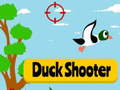 Тоглоом Duck Shooter