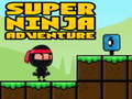 Тоглоом Super Adventure Ninja