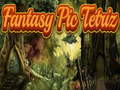Тоглоом Fantasy Pic Tetriz