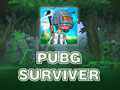 Тоглоом PUBG Surviver